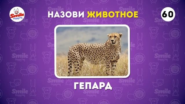 Назови 120 животных по фото за 5 секунд