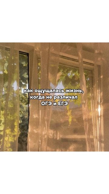 Лайк, если жиза 👍🏻 #егэ #огэ #экзамены #школа #зачетныйкурс