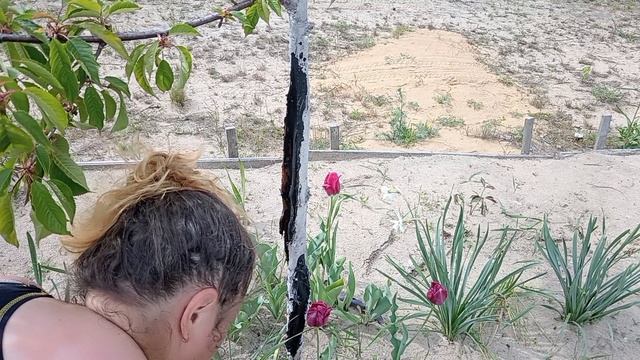 Высаживаем виноградную лозу. Дождь, солнце, а у нас посадки. СЕМЬЯ НА ДАЧЕ #245.