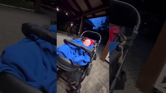 Как Владимир Иванович отметил свой первый ДЕНЬ РОЖДЕН