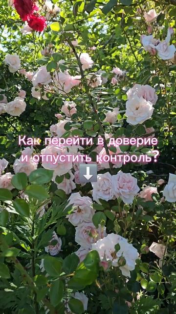 Как перейти в доверие и отпустить контроль?