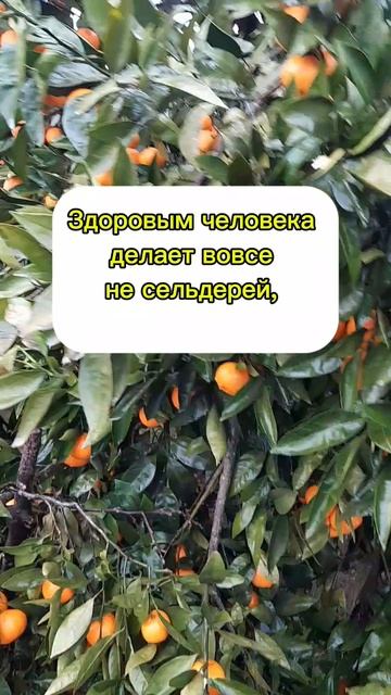 Любовь к себе. Отдых.