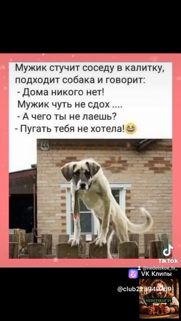 Когда пришел к соседу, а его дома нет!