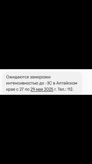 Погода