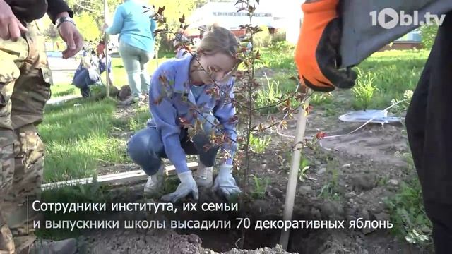 В Снежинске появилась яблоневая аллея