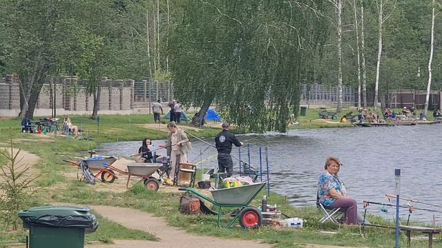 Поимка амура