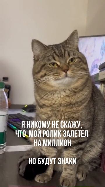 ПОДПИСЫВАЙСЯ НА КАНАЛ➡️@content_smm
⠀