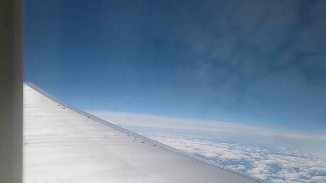 VLOG прилетели 1часть