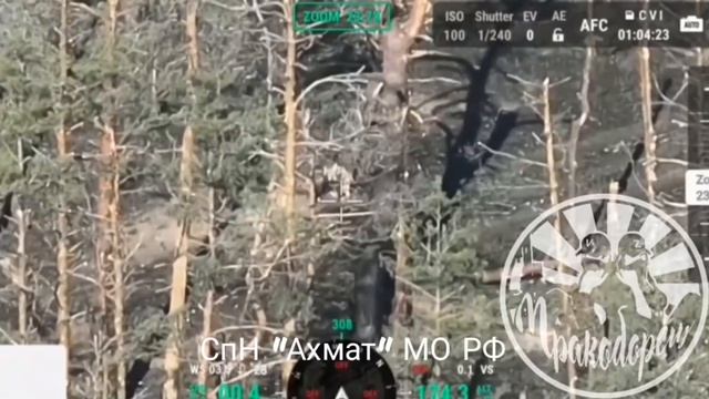 Разбор позиций противника подразделением СпН "Ахмат" МО РФ с применением танка