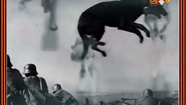 Boi_Legedzino