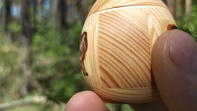 Шкатулка в весеннем лесу на верхушке сосны