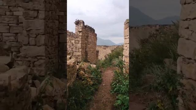 Гамсутль