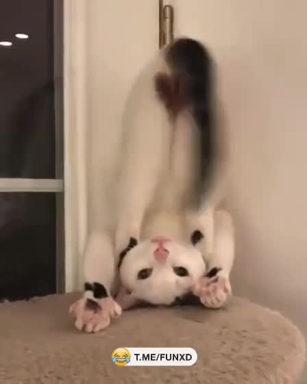 Это сердечко для тебя!🫶😄