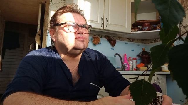 27 июня 2024. Утренние размышления и холодный кофе.