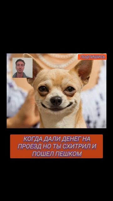 Когда схитрил и заработал денег