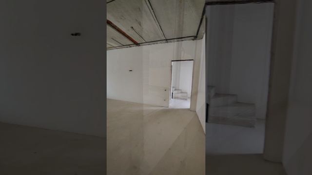 InShot_20250320_164115587.mp4