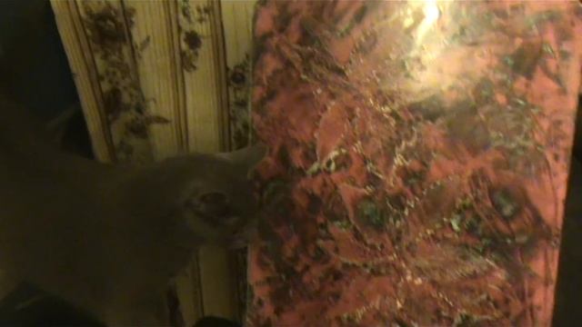 Venetian plaster on the glass .  Венецианская штукатурка Bericalce