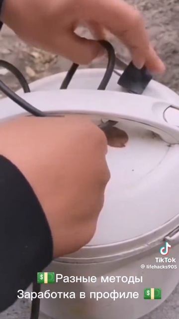 1000098757.mp4