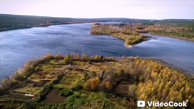 VideoCook_20250528_160408953.mp4