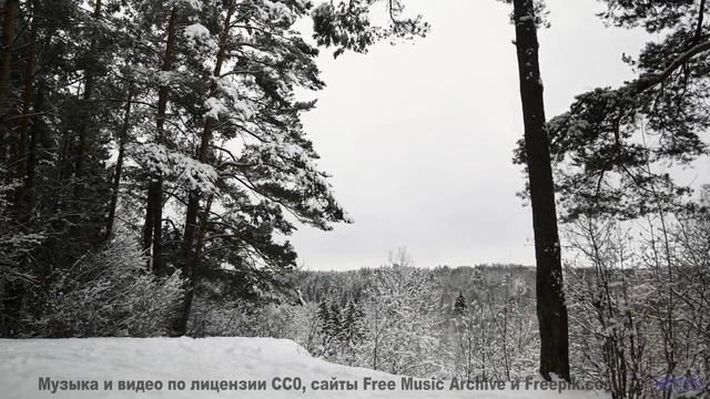 Леса звучат громче любого хора вместе с этим саундом - Bouncer -- Ketsa -- Unified Division