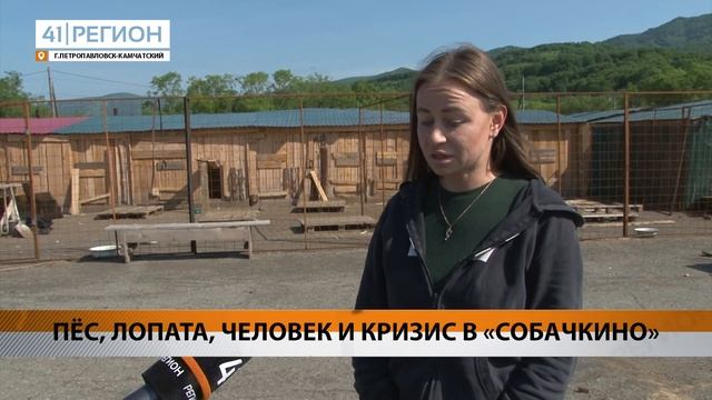 •СПЕЦИАЛЬНЫЙ РЕПОРТАЖ• ПЁС, ЛОПАТА, ЧЕЛОВЕК И КРИЗИС