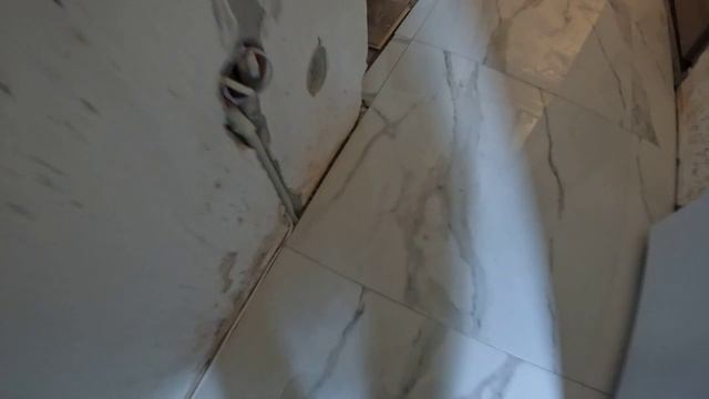 1000002648.mp4