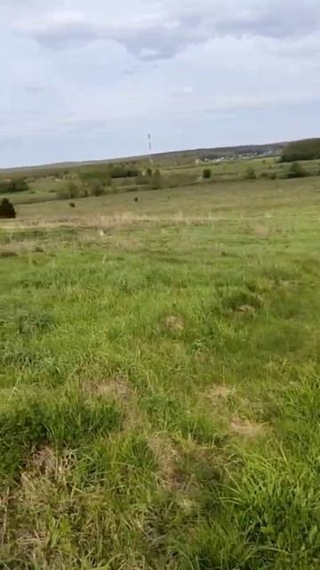 с. Борисово 50:18:0090316:2322