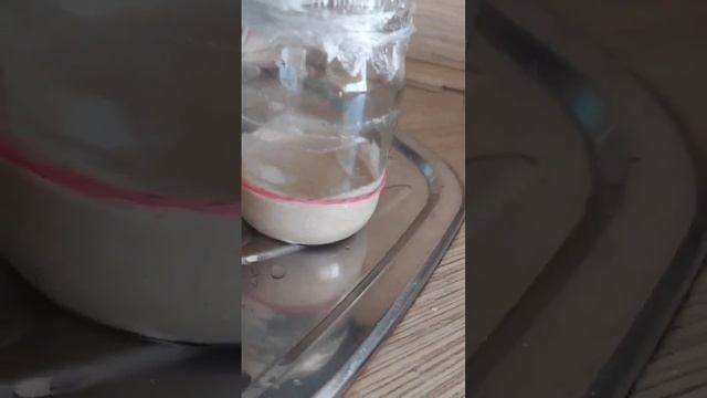 Квас делаю из самодельной закваски