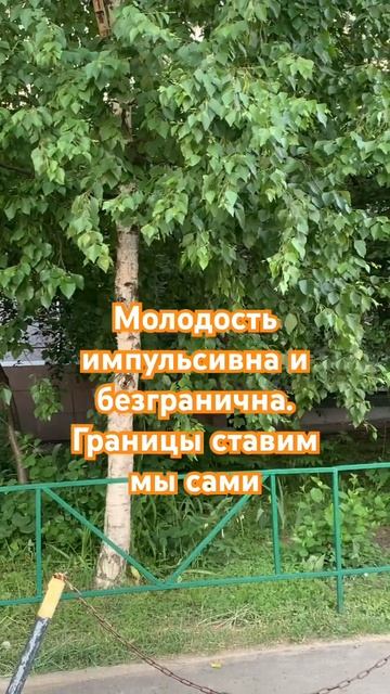 Границы