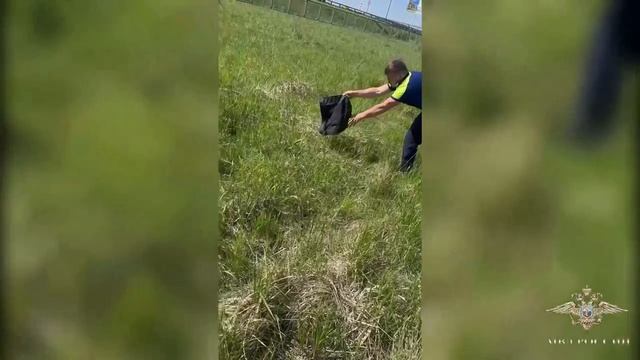 🦆На Минском шоссе беспечная мама-утка повела своих детей через дорогу, а те попадали в ливневку🦆