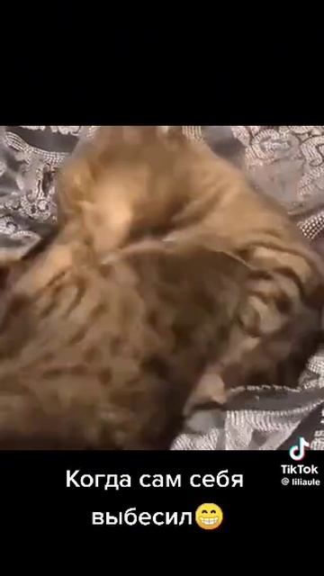 1000098670.mp4