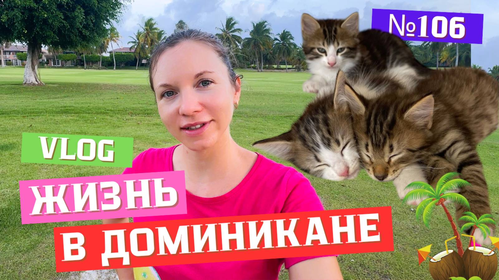 Ура! Котята нашли свой дом! | Китайский магазин | Банановый хлеб