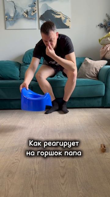 Ну так ведь?