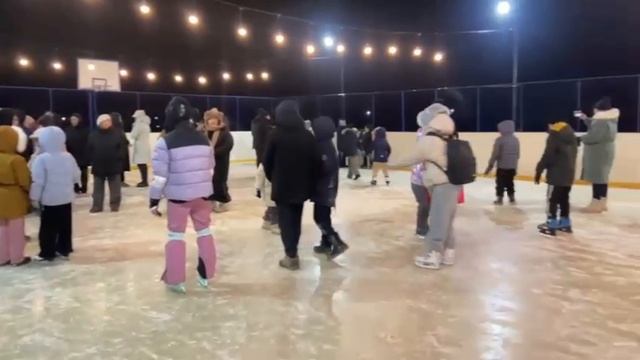 Устройство хоккейного корта
