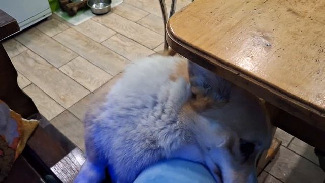 Демон рухнул, Стар окабанел)) Пьём кофе.