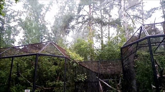 Снег в Новосибирске 27.05.2025