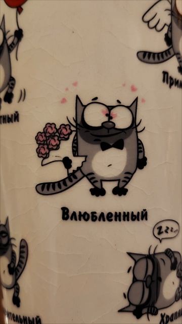 Разный кот