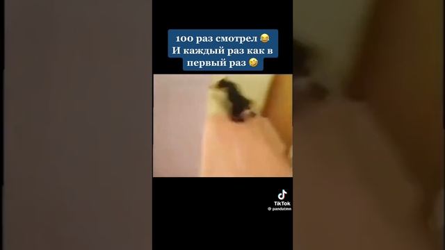 1000099167.mp4