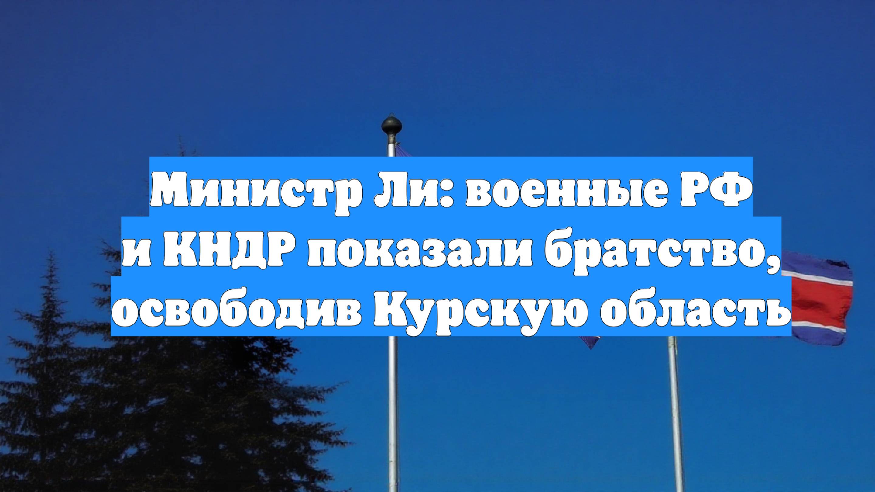 Министр Ли: военные РФ и КНДР показали братство, освободив Курскую область