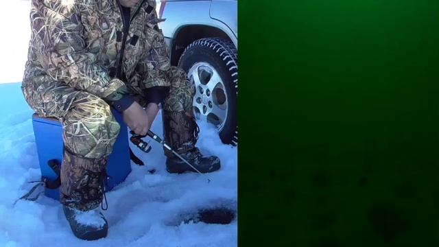 Ловля окуня на русловой бровке.