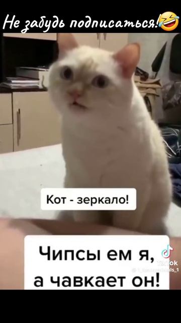 1000099129.mp4