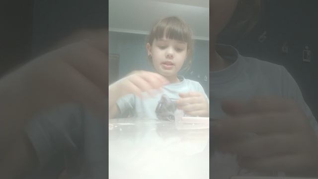 VID_20250528_161803.mp4