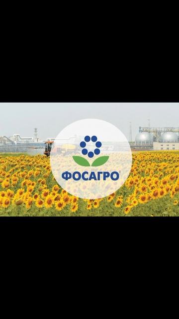Перспективы Фосагро #инвестиции #обзор #инвестировани