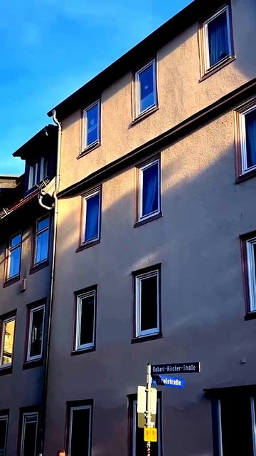 Камера зафиксировала