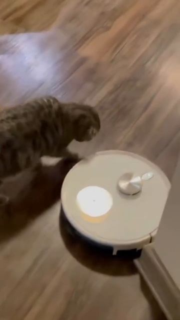 VID_20250528_065835_947.mp4.mov