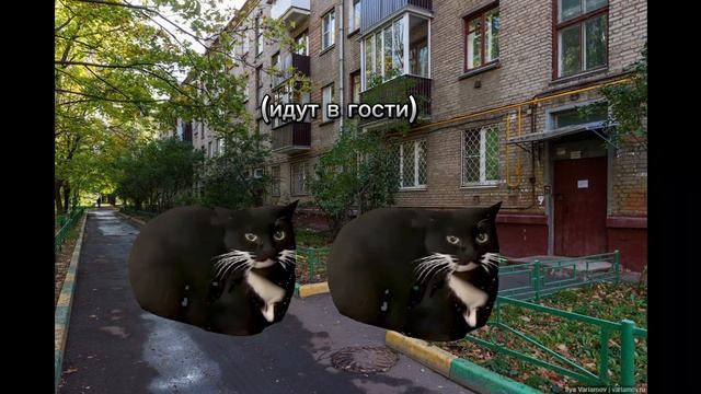 Сериал "Твоя жизнь за пару минут" (3 часть)#meme #котики #funn
