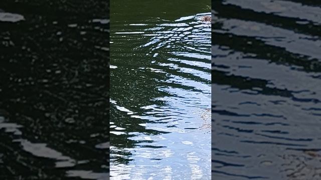 1000066565.mp4