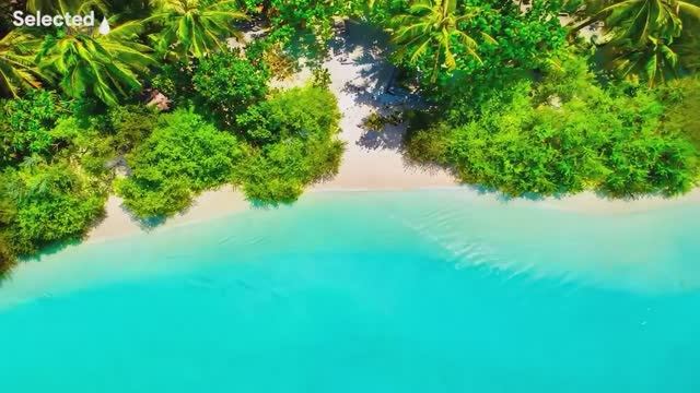 Música para la mañana ☀️ Musica para trabajar activo y alegre ☀️ Música para levantar el animo 2025