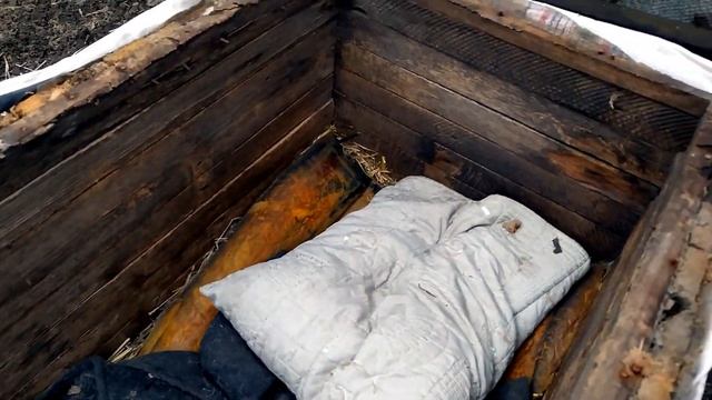 СОБАЧА БУДКА 🐕