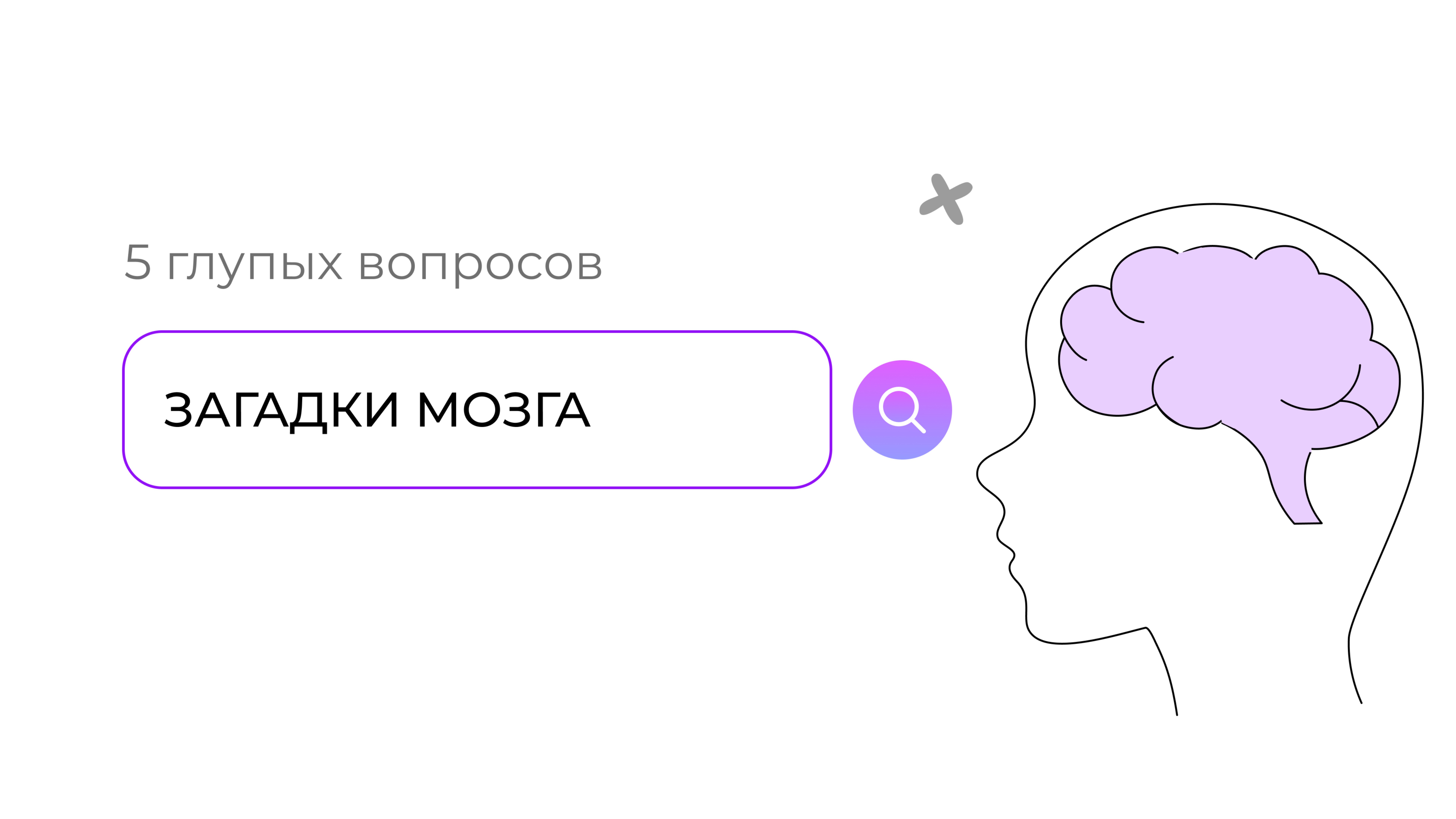 Как жить с половиной мозга: 5 глупых вопросов